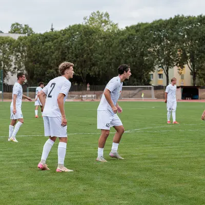 gallery_feature_no_desc